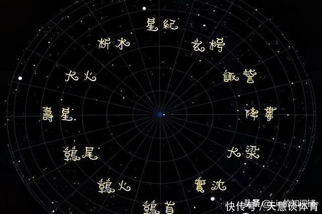 小熊维尼|12个冷知识:生活中不太可能会用到,但可以扩展你的知识面