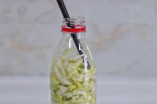 矿泉水瓶|想吃东北酸菜,现在腌制也不晚,教你简单做法,零失败