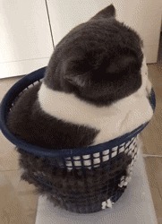 |搞笑GIF:妹子这是什么裙子呢,能上能下真是绝了啊