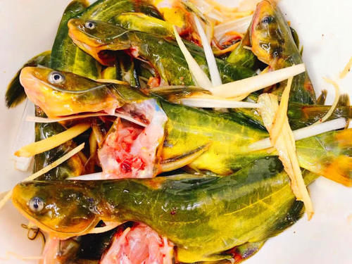 这鱼22元一斤,再贵也别省,多给孩子吃,个子长得快,头脑更聪明