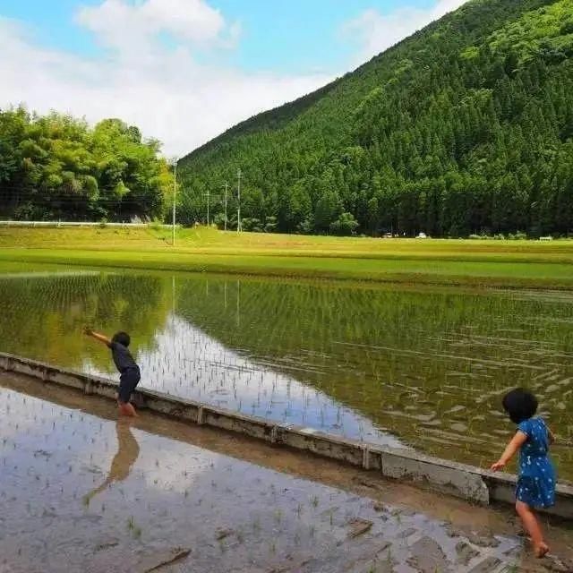 萝卜|【班级风采】向课文学写作：我童年的“百草园”！