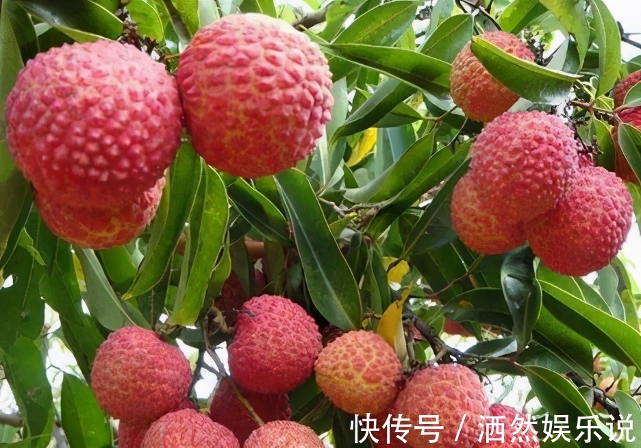 排毒|女性养生，常吃的好食物，排毒燃脂，润肠通便，吃了变年轻