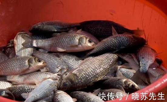 冬钓鱼口轻?三个细枝末节处的改变,让你渔获翻番