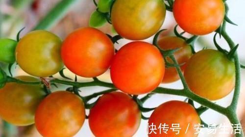 果蔬菜|人到中年想长寿,不妨多吃以下食物,养宫排毒,肌肤也红润有光泽