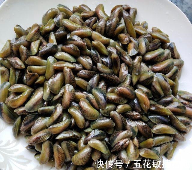 寻氏肌蛤|辣炒海瓜子,一口一个,很鲜美!