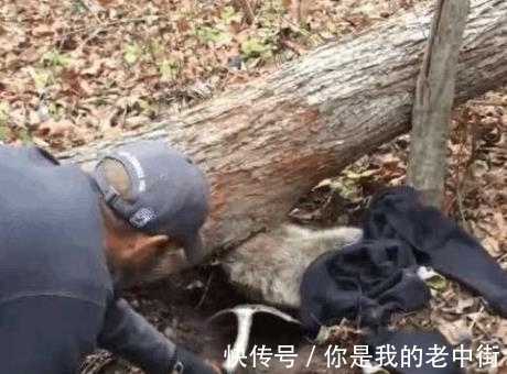 钓鱼|男子听见求救声,找过来竟发现了这个家伙