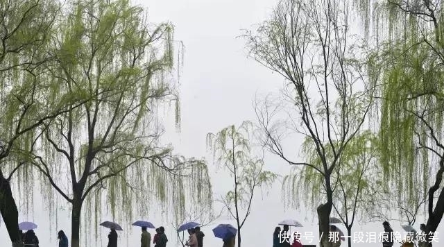 江南雨真有那么诗情画意吗？