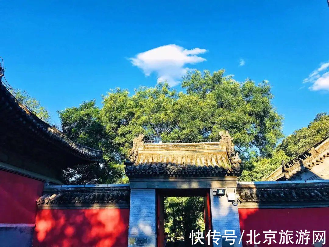 大戒|初秋到戒台寺寻觅禅境，还有佛教最高等级的戒坛可以参观~