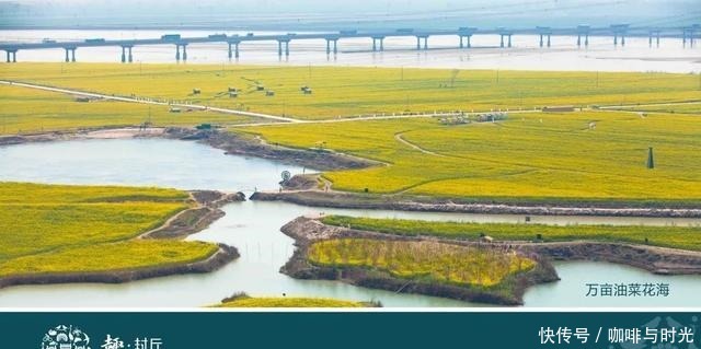 舌尖上的河南之新乡封丘来了!