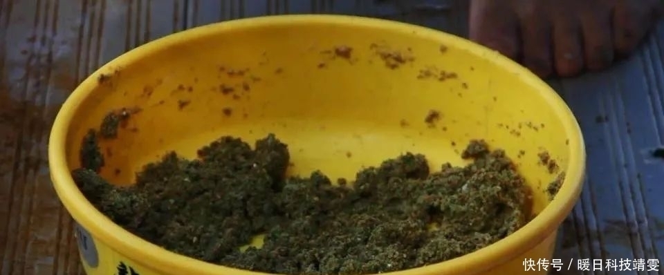滑鱼|钓鲤鱼口滑不开口？试试这几招，只要有鲤鱼，不怕不开口