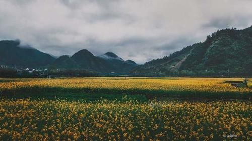 神山|安徽一座神山，山顶被“沙子”覆盖，被称为“高山中的沙漠”