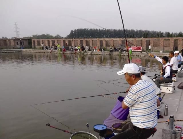 20年经验之谈，钓大鱼这几点很关键，不要等到切线爆竿才后悔！