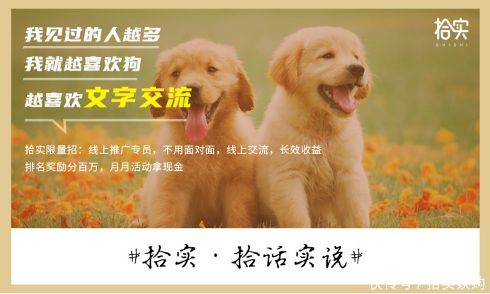 拾实|拾实:当代社恐典范,就是我本人了