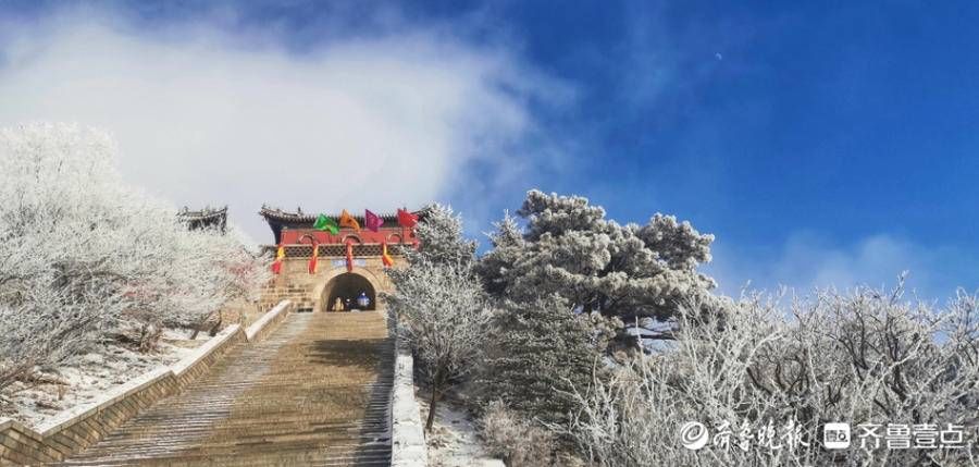 岱顶|壹图集丨腊八泰山迎瑞雪，岱顶秒变“琼楼玉宇”