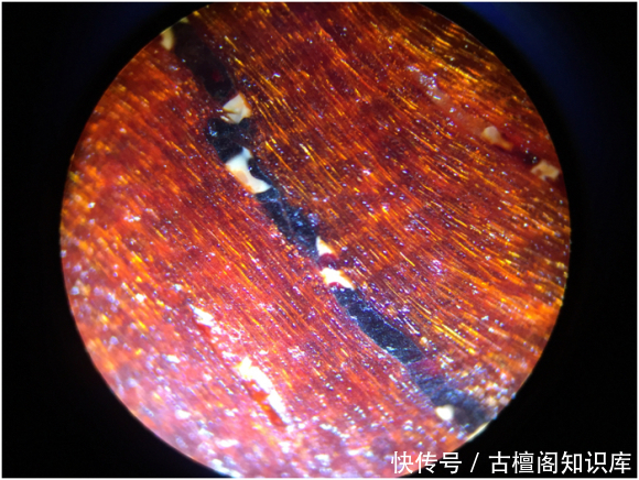 物质|小叶紫檀棕眼里的黑色物质到底是什么?