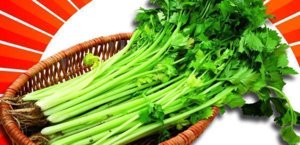 冰菜|人到中年想长寿,推荐吃三种食物,排毒瘦身,降压减脂,不容错过