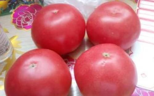 西红柿|保存西红柿别放冰箱,菜农教你两招,久放不坏,天天吃新鲜西红柿