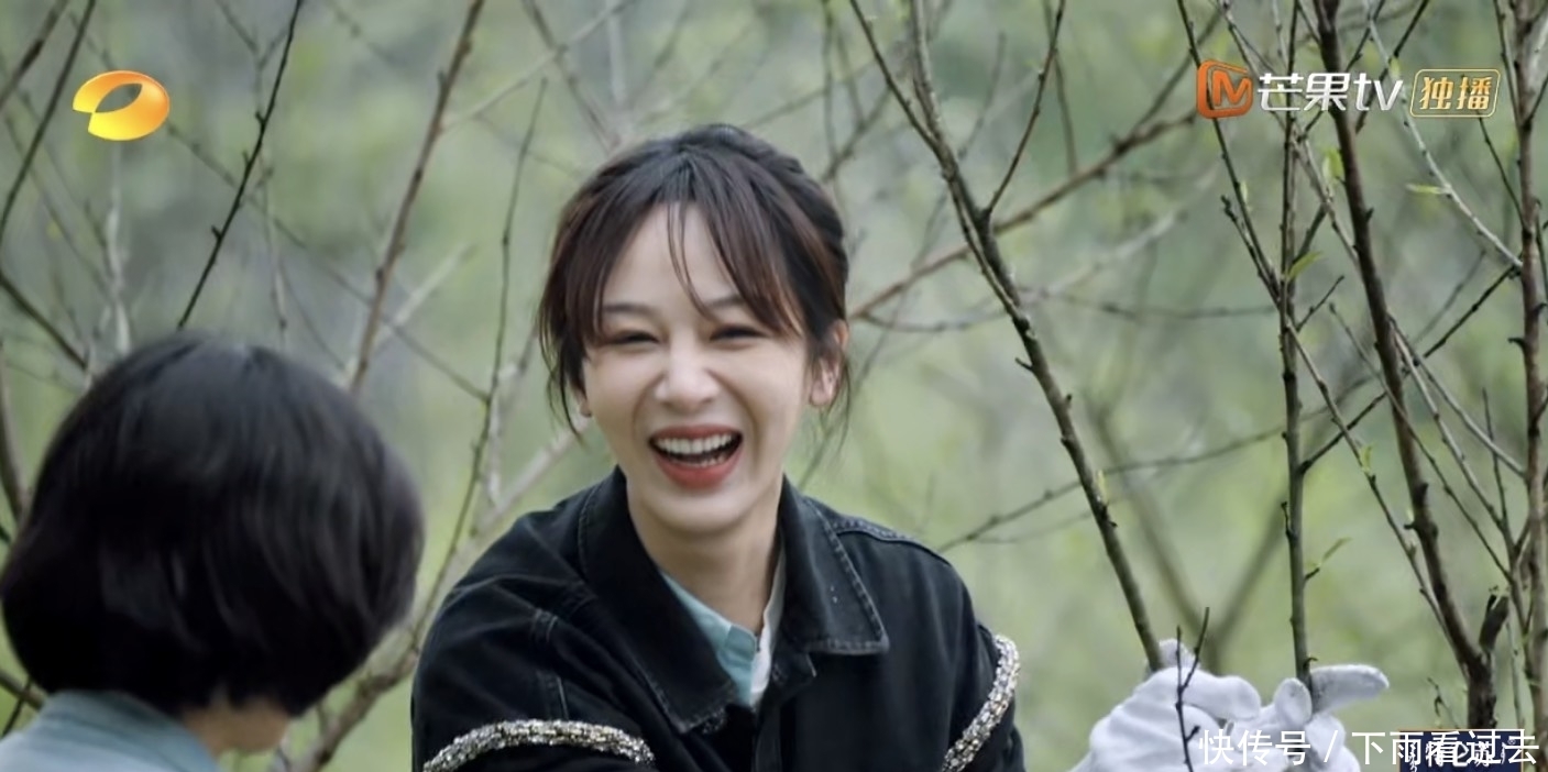 杨紫|杨紫张艺兴种树气氛微妙，我却只留意到她对何炅的举动，不服都难