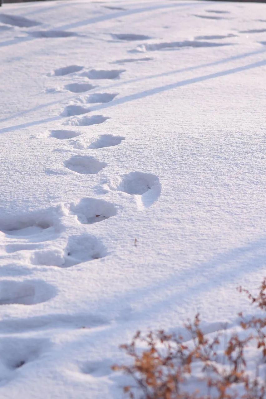 厦门|11 月，往北看雪，往南看海