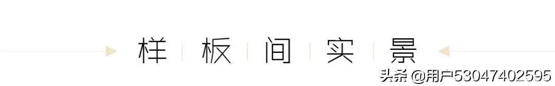 咖啡色|与众不同的咖啡色装修样板间