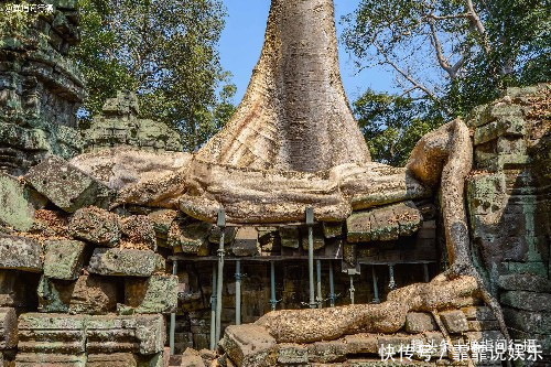 柬埔寨最大高棉古寺，荒废遗迹被“蟒蛇树根”缠绕，今成热门景点