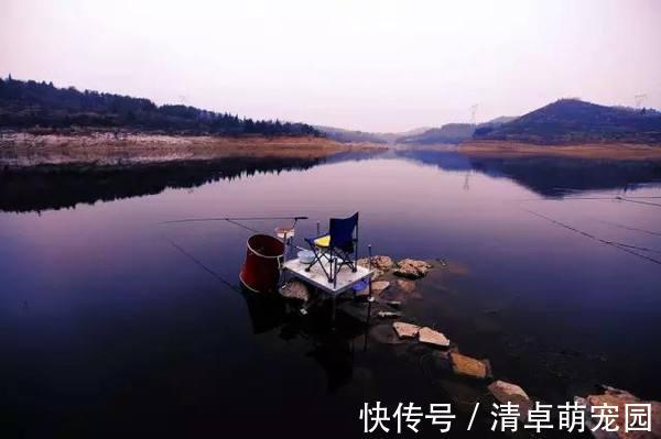 远近|深秋季节转换,野钓鲫鱼钓深还是浅,钓近还是远?四个因素很关键