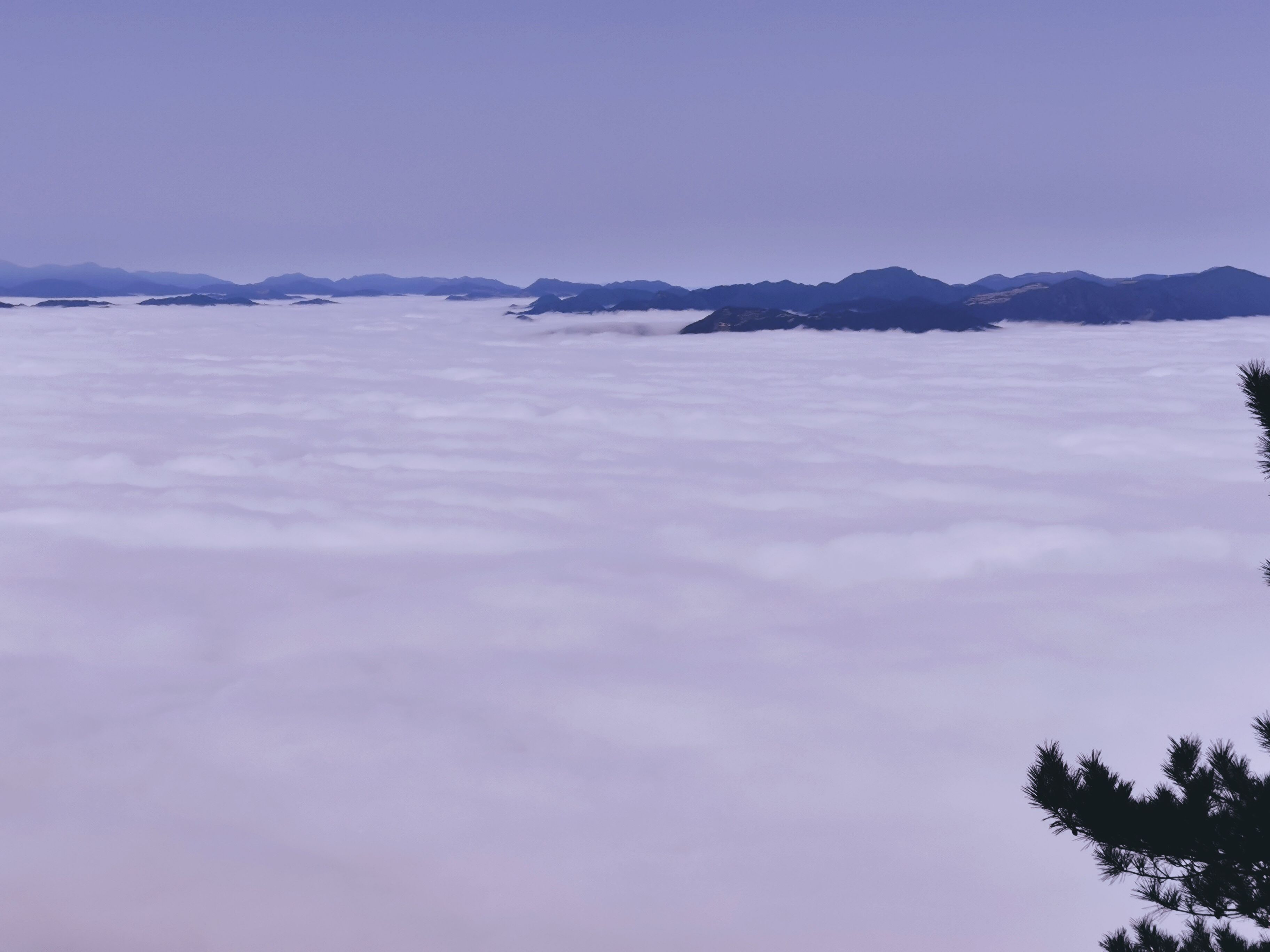 答应我！来景宁敕木山赴一场云上温柔好吗？