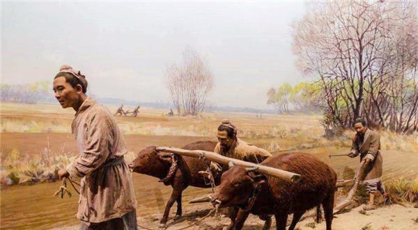 舌头|一农夫家的牛舌头被人偷了，包拯：将牛宰了，小偷自然会来自首