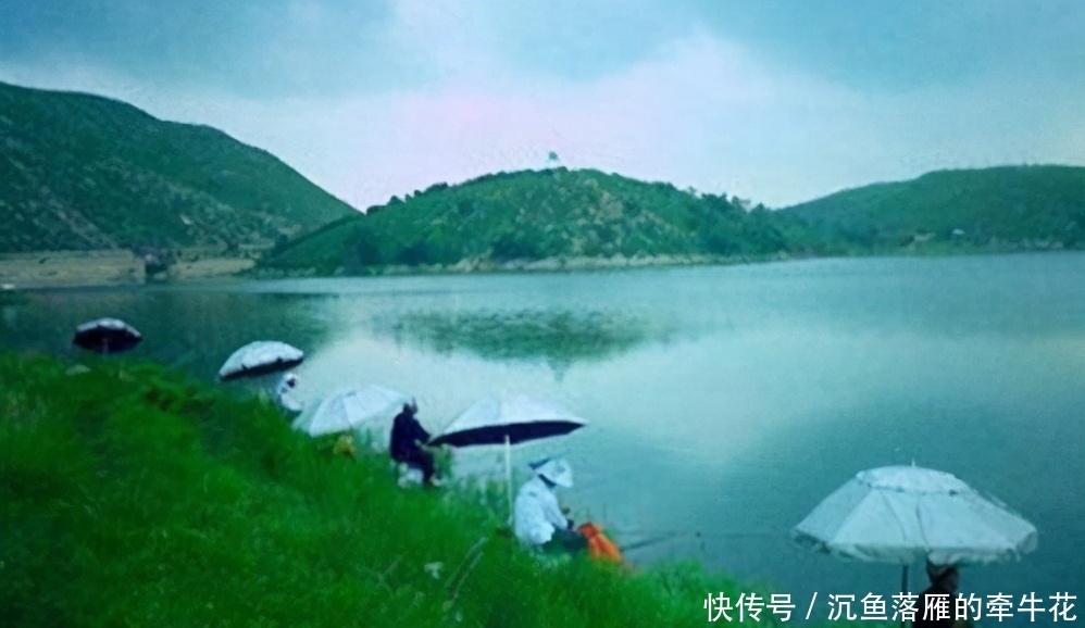 子线|轻松搞定子线长短和钩距大小的选择,学会这一篇就够——盛世三渔