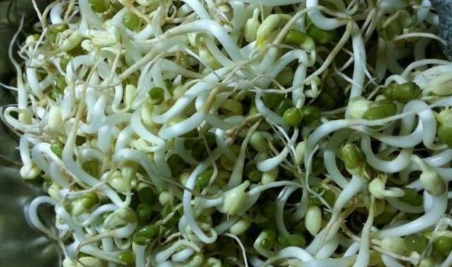 血脂|2果1米1菜让血管更畅通,记得常吃,防动脉硬化降血脂,清血管