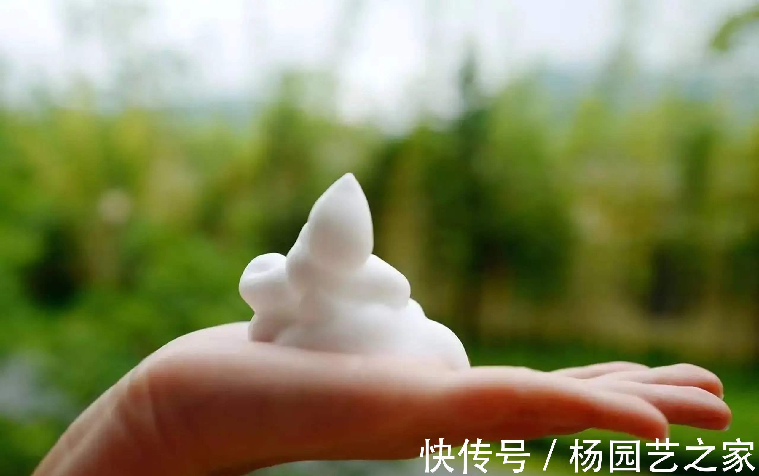 洗面奶|洗脸也有方法技巧,这7个洗脸误区要避开,正在偷偷毁你的脸