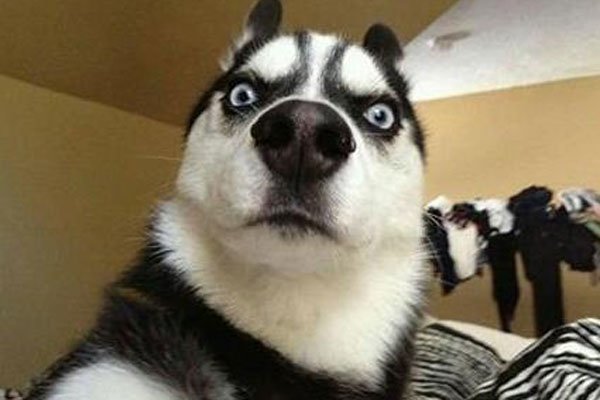 |幽默段子:今天第一次和男神约会