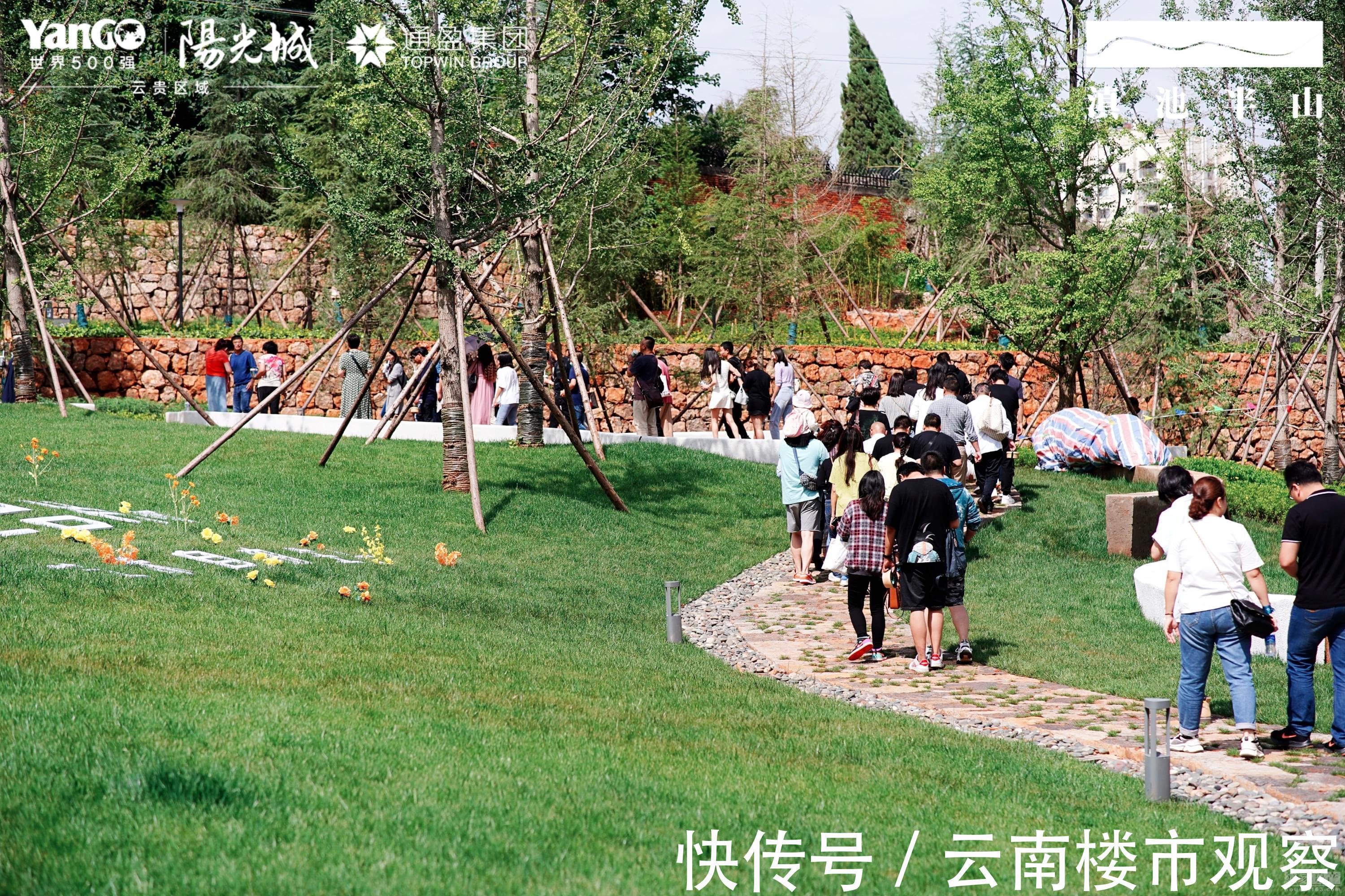 蓝花楹|昆明这个项目实景品鉴会完美收官!