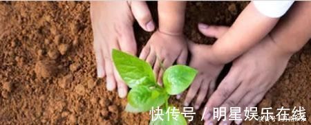 孩子|家长对孩子也该适当的“佛系”一些,而不是盲目的“望子成龙”