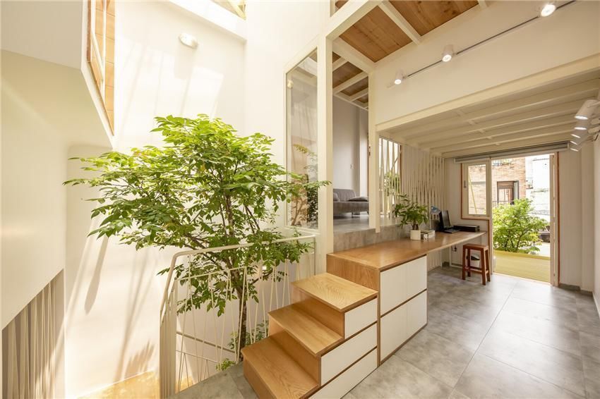 房子|越南小哥在楼缝中建房子,错层设计室内种树,75㎡的家生机勃勃