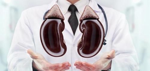 搭档|黄芪的“最佳搭档”揭秘,泡水喝,祛湿排寒,肝肾兴许“报答”你