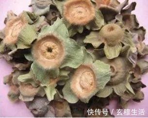 橙子|喉咙痒痰多咳不停的人，白开水里撒一把，有助化痰止咳，清肺热