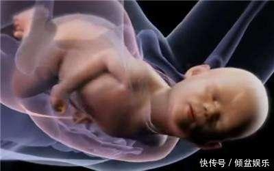 我是谁|女性分娩疼的“要死要活”时,胎宝啥感受,看完你可要忍住别笑