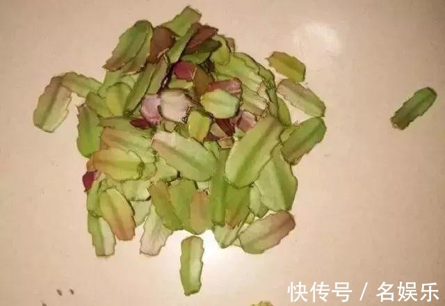 蟹爪兰|8种花现在赶紧剪，剃光头撸光叶，越狠越爆盆