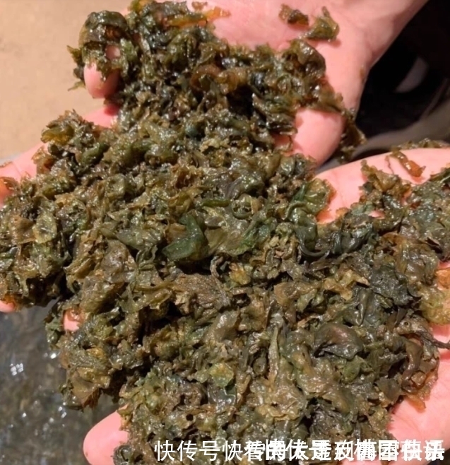 补水|它就是“清肠冠军”，隔夜排臭便，嘴巴不臭了，瘦身，补水又减龄