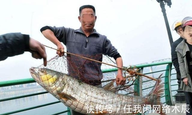 江苏小伙阳澄湖钓起40斤水老虎，拖到工地加餐，不放生为湖除害