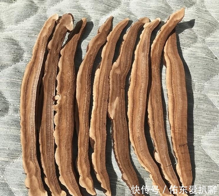 更好|李时珍称它男人“肾宝王”, 有空没空喝一口, 老婆乐呵呵