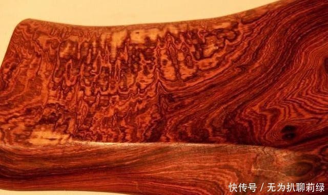中国最“珍贵”的树,1公斤卖到9000元,曾经还被人当柴火烧