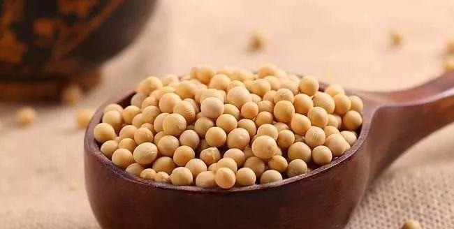 长寿菜|它是排行第一的长寿菜, 竟然好多人不知道! 天天都能吃, 家家都有！