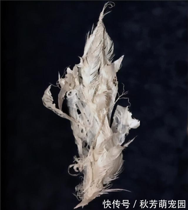 光影@日本妹子把白纸刻成玻璃杯,连水珠都能看见,裸眼3D还能这么玩?