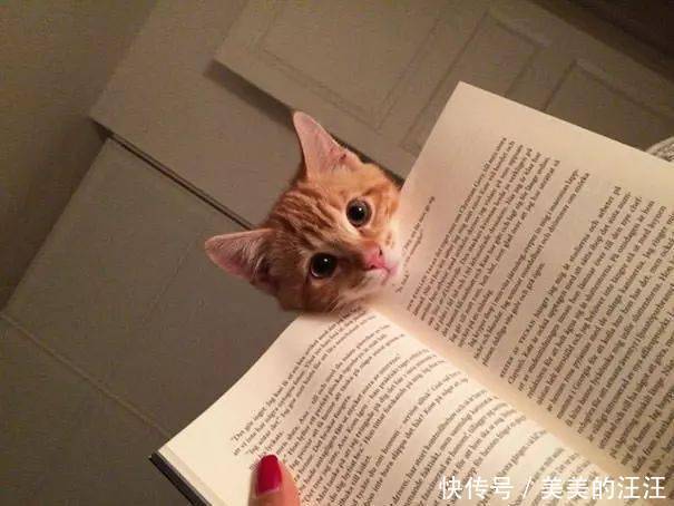 看什么书看书,难道我还没有书好看吗