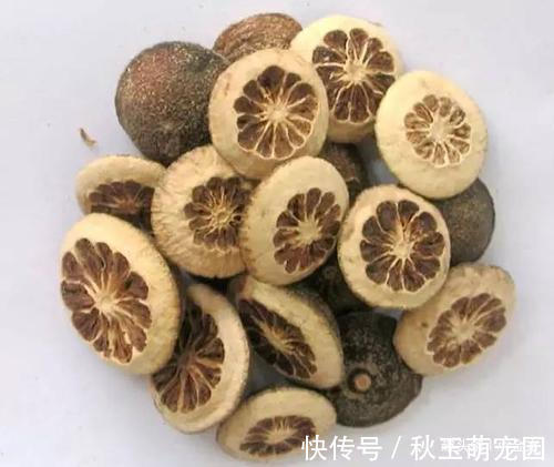 肥胖|张仲景唯一主打减肥的方子，只需2味药泡茶喝，药简方精！