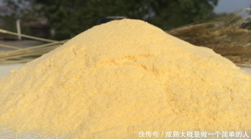 玉米面饵|廉价的自制饵料,竟是大鱼克星?“玉米面饵”的妙用很少有人知道