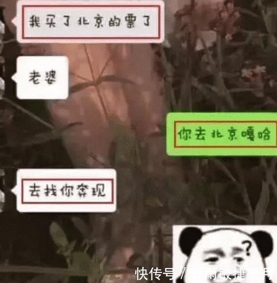 宫崎骏|网友无意间被拉进一个cos群,结果深夜被踢出群聊,原因是哈哈哈