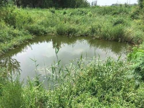 后人对于诸葛亮多有评价,但都不及杜甫这首诗,短短几句一针见血